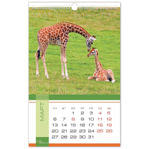 Календарь на гребне с ригелем 2023 г. HATBER "Animals", 30х45 см фото 2