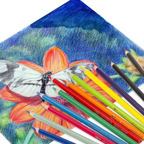 Карандаши цветные акварельные BRAUBERG PREMIUM AQUARELLE, 12 цветов, грифель мягкий 4 мм фото 8