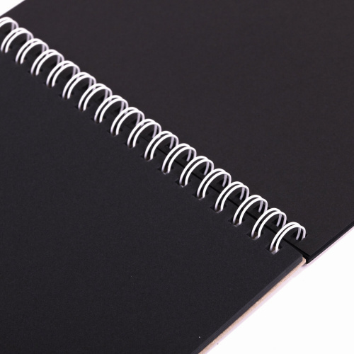 Скетчбук ПЗБМ "Тигр", черная бумага 120 г/м2, 170х195 мм, 30 л., цветная фольга, твин лак фото 3