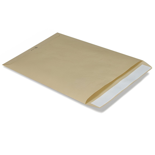 Конверт-пакет КУРТ, В4, плоский, 250х353 мм, до 140 листов, крафт-бумага, отрывная полоса
