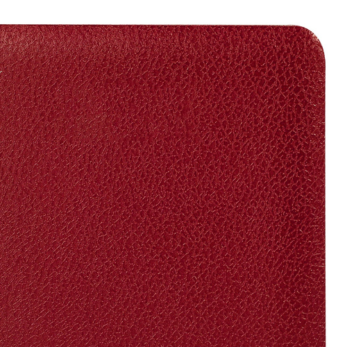 Ежедневник недатированный BRAUBERG "Profile" , А5, 138x213 мм балакрон, 136 л., красный фото 7