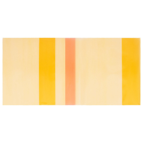 Обложка ПЭ для дневников и учебников с твердой обложкой ПИФАГОР, 200 мкм, 226х430 мм, цветная фото 10
