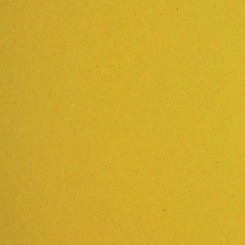 Подвесные папки BRAUBERG, А4, 350х245 мм, до 80 листов, 10 шт., желтые, картон фото 5