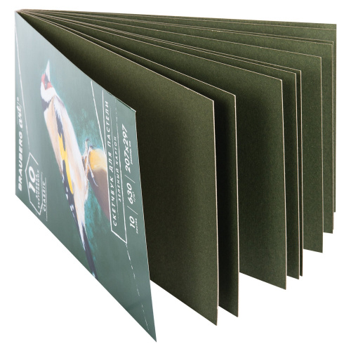 Альбом для пастели BRAUBERG, 10 л., 207x297 мм, картон зеленый тонированный фото 9