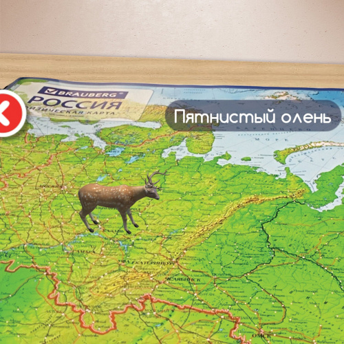 Карта России физическая BRAUBERG 101х70 см, 1:8,5М, с ламинацией, интерактивная, европодвес фото 6