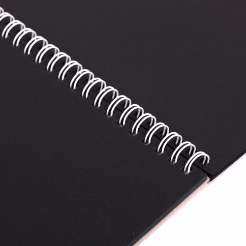 Скетчбук ПЗБМ "Авокадо", черная бумага 120 г/м2, 195х300 мм, 30 л., гребень, выборочный лак фото 4