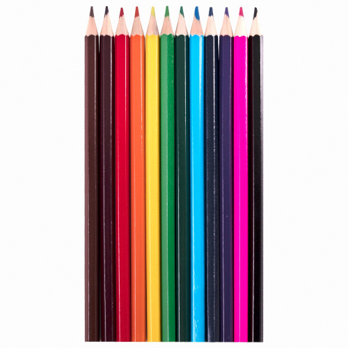 Карандаши цветные ПИФАГОР "Веселая такса", 12 цветов, классические, заточенные фото 2