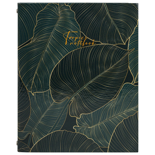 Тетрадь на кольцах BRAUBERG "Листья", А5, 175х215 мм, 240 л., твердый картон, с разделителями фото 5