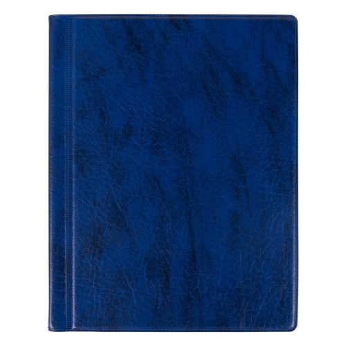 Альбом нумизматика ОСТРОВ СОКРОВИЩ, для 90 монет, диаметром до 32мм, 145*185мм, синий фото 3