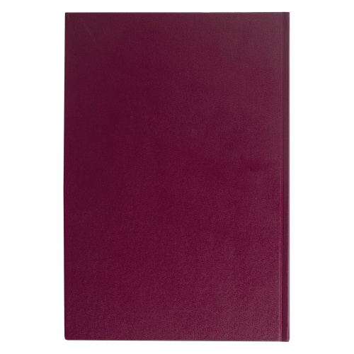 Книга учета BRAUBERG, А4, 96 л., клетка, твердая, бумвинил, блок офсет, бордовая фото 5