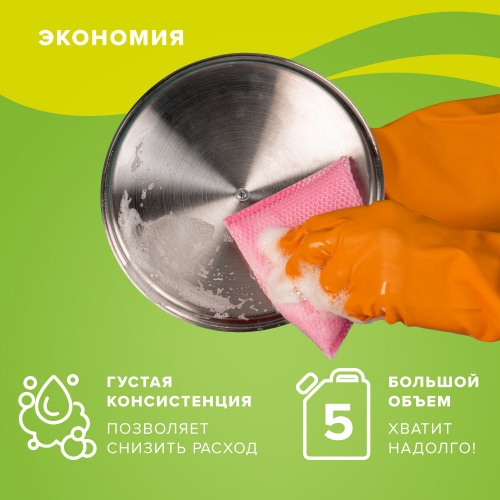 Моющее средство для посуды "Любаша" Яблоко  5л фото 5