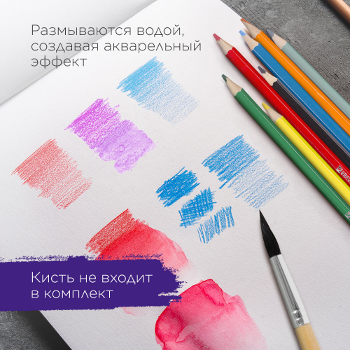 Карандаши цветные акварельные BRAUBERG "АКАДЕМИЯ", 24 цвета, шестигранные,высокое качество фото 10