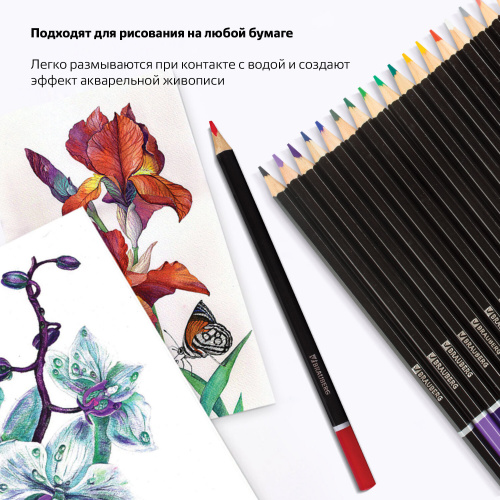 Карандаши цветные акварельные BRAUBERG "Artist line", 24 цвета, заточенные, высшее качество фото 10