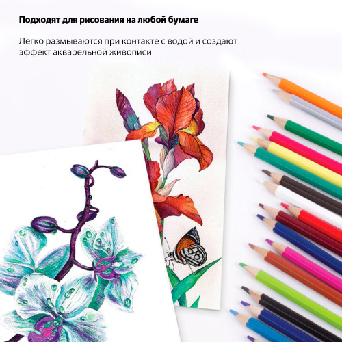 Карандаши цветные акварельные BRAUBERG "АКАДЕМИЯ", 18 цветов, шестигранные, высокое качество фото 4