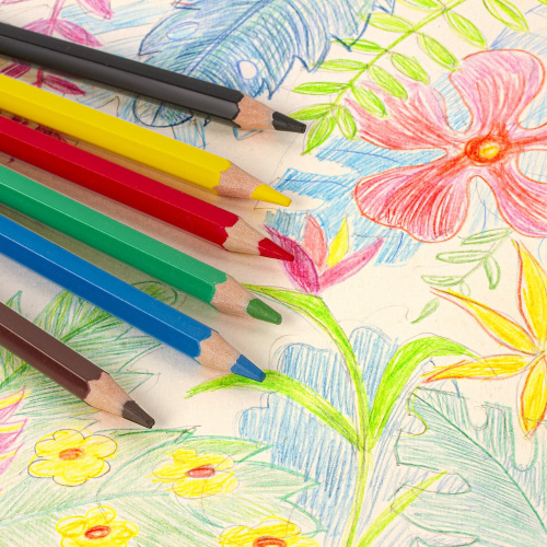 Карандаши цветные ПИФАГОР "ЗЕБРА", 6 цветов, утолщенные, пластиковые фото 6