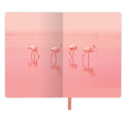 Блокнот МАЛЫЙ ФОРМАТ (100х150 мм) А6, BRAUBERG VISTA "Flamingo", под кожу, гибкий, 80 л. фото 4
