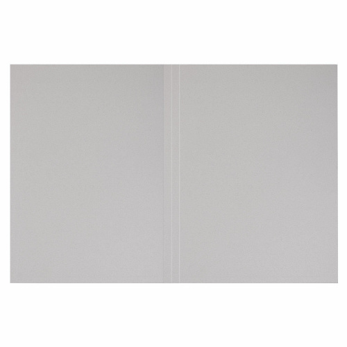 Папка без скоросшивателя STAFF "Дело", картон, плотность 220 г/м2, до 200 л. фото 6