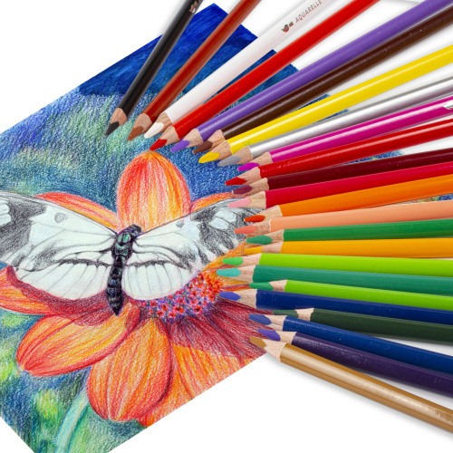 Карандаши цветные акварельные BRAUBERG PREMIUM AQUARELLE, 36 цветов, грифель мягкий 4 мм фото 8
