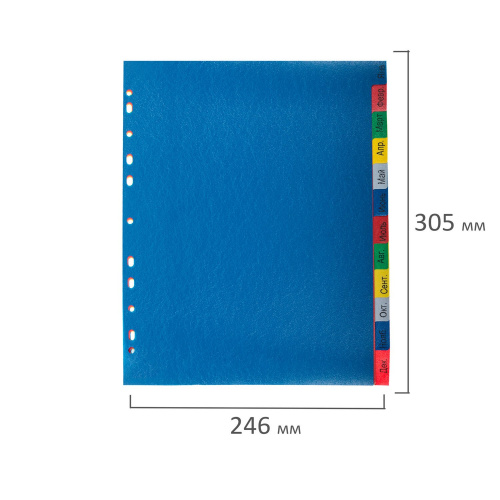 Разделитель пластиковый широкий BRAUBERG, А4+, 31 лист, цифровой 1-31, оглавление, цветной фото 8