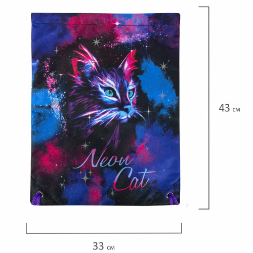 Мешок для обуви BRAUBERG PREMIUM, карман, подкладка, светоотражайка, 43х33 см, "Neon cat" фото 6