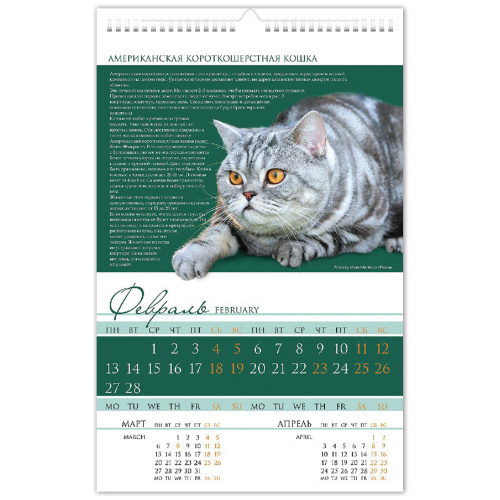 Календарь на гребне с ригелем 2023 г. HATBER "Кот", 30х45 см фото 2