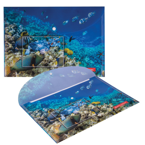 Папка-конверт с кнопкой BRAUBERG "SEA WORLD", А4, 160 мкм, до 100 листов, цветная печать фото 9