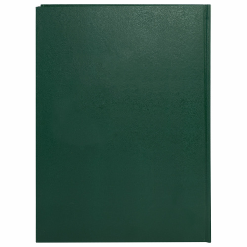 Книга учета 96 л., клетка, твердая, бумвинил, офсет, герб, А4 (200х290 мм), BRAUBERG, зеленая фото 4