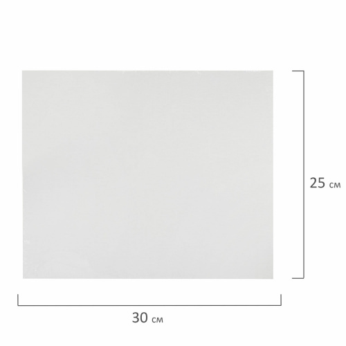 Холст на картоне BRAUBERG ART CLASSIC, 25х30 см, грунтованный, хлопок, мелкое зерно фото 3