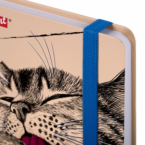 Скетчбук BRAUBERG ART CLASSIC "Это Кот", белая бумага, 145х203 мм, 64 л., резинка, твердый фото 7