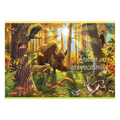 Альбом для рисования HATBER "В сказочном лесу", А4, 20 л., 205х290 мм, скоба, обложка картон фото 3