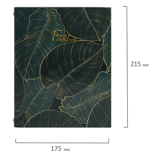 Тетрадь на кольцах BRAUBERG "Листья", А5, 175х215 мм, 240 л., твердый картон, с разделителями фото 2