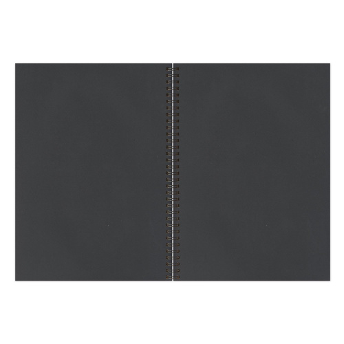 Скетчбук BRAUBERG, черная бумага 120г/м2, 210х297мм, 32л, гребень фото 5
