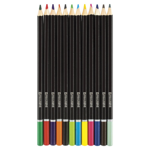 Карандаши цветные BRAUBERG "Artist line", 12 цветов, черный корпус, заточенные, высшее качество фото 4