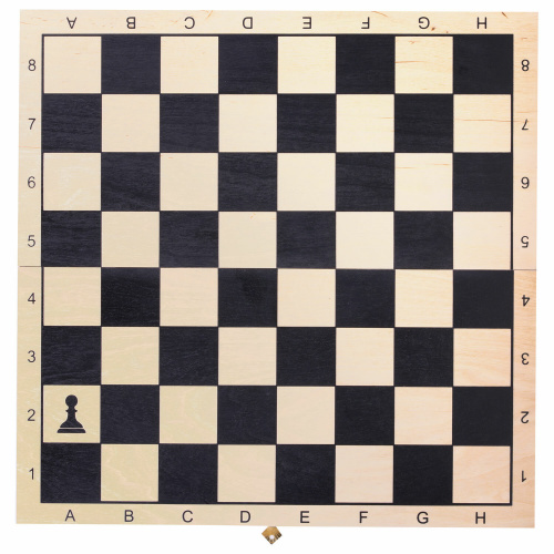 Шахматы, шашки, нарды (3 в 1) ЗОЛОТАЯ СКАЗКА, доска 40х40 см, деревянные фото 9