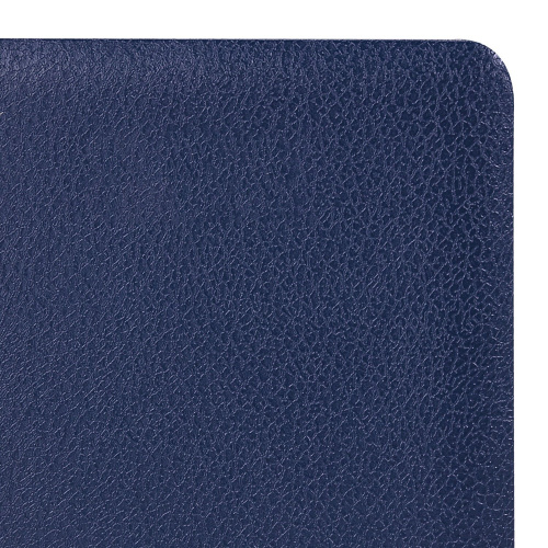 Ежедневник недатированный BRAUBERG "Profile" , А5, 138x213 мм, балакрон, 136 л., синий фото 6