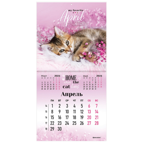 Календарь настенный перекидной на 2024 г., BRAUBERG, 12 листов, 29х29 см, "Милые котики", 115321 фото 4