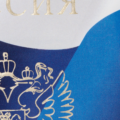 Обложка для паспорта STAFF, ПВХ, триколор фото 3