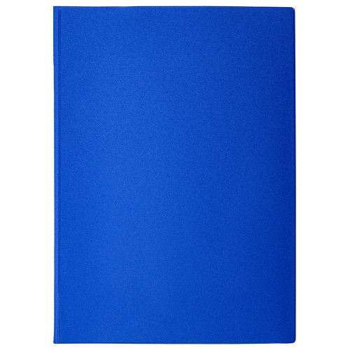 Папка для семейных документов с файлами STAFF, 12 отделений, ПВХ, синяя фото 2