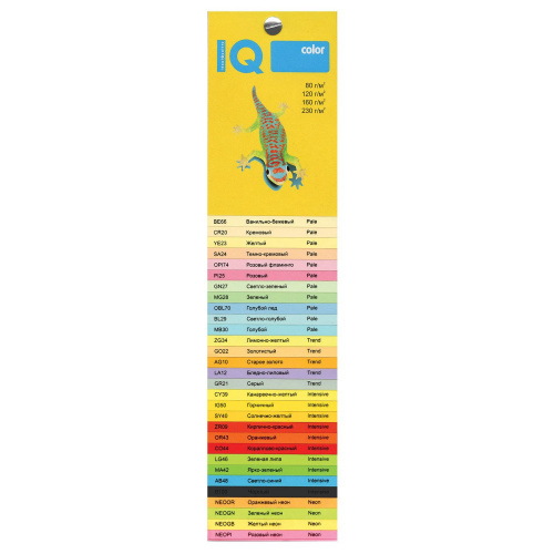 Бумага цветная IQ COLOR, А4, 80 г/м2, 250 л., микс тренд фото 4