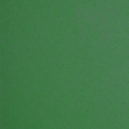 Подвесные папки BRAUBERG, А4, 406х245 мм, до 80 листов, 10 шт., зеленые, картон фото 3