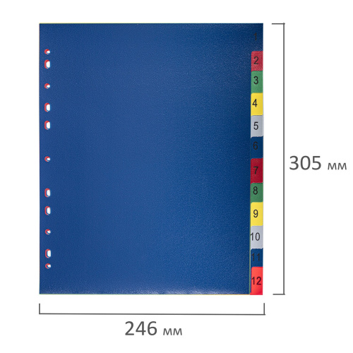 Разделитель пластиковый широкий BRAUBERG, А4+, 12 листов, цифровой 1-12, оглавление, цветной фото 6