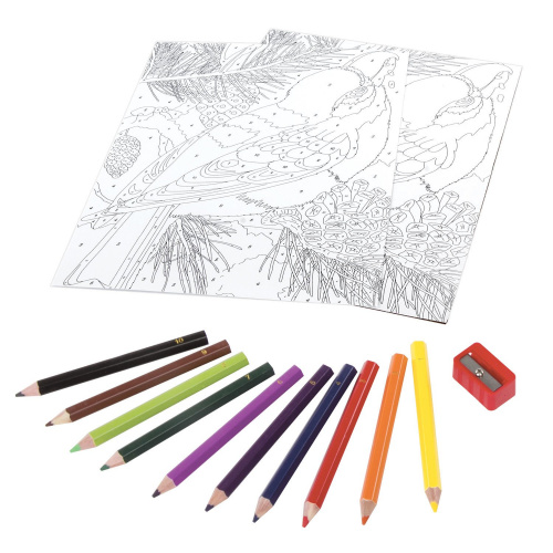Раскраска по номерам ЮНЛАНДИЯ "ПТИЧКА", А4, с цветными карандашами, на картоне фото 2