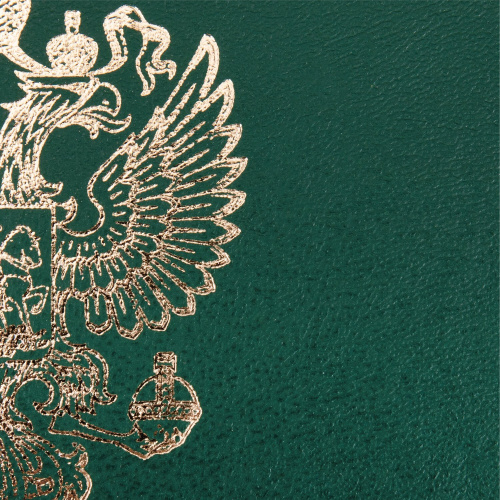 Папка адресная бумвинил с гербом России STAFF "Basic", формат А4, зеленая, индивидуальная упаковка фото 5