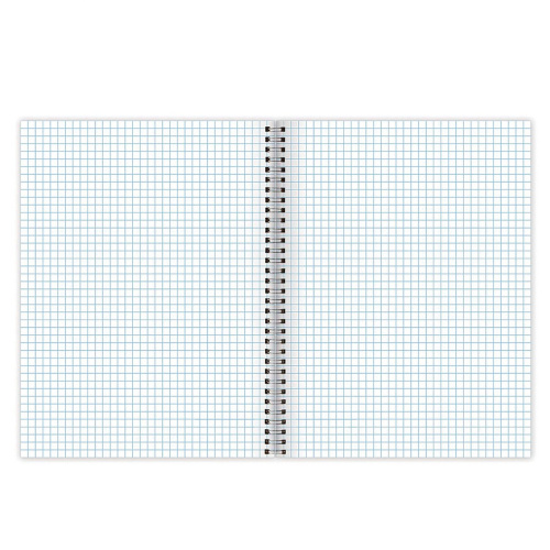 Тетрадь BRAUBERG "Seasons", А4, 120 л., гребень, клетка, обложка картон фото 8