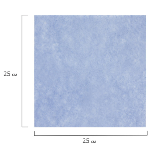 Салфетки универсальные ЛЮБАША, 25х25 см, 5 шт., 60 г/м2, вискоза, голубые фото 3