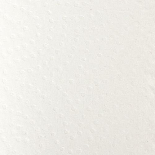 Полотенца бумажные LAIMA, бытовые, спайка 2 шт., 2-х слойные, (2х30 м), 22х23 см, белые фото 3