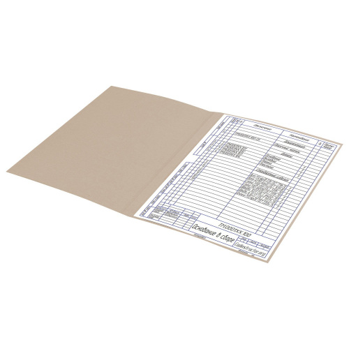 Папка без скоросшивателя BRAUBERG "Дело", картон мелованный, плотность 440 г/м2, до 200 л. фото 3