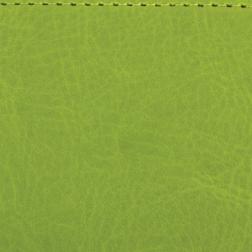 Ежедневник недатированный BRAUBERG "Rainbow", А6, 100х150 мм,  под кожу, 136 л., зеленый фото 10