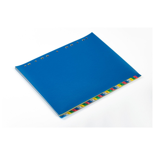 Разделитель пластиковый широкий BRAUBERG, А4+, 31 лист, цифровой 1-31, оглавление, цветной фото 3