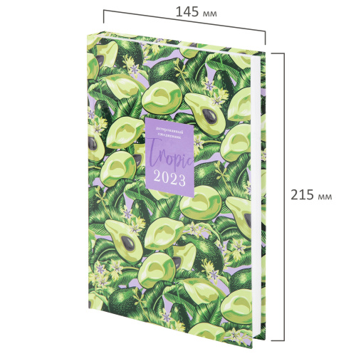 Ежедневник датированный на 2023 STAFF "Avocado", 145х215 мм, А5, ламинированная обложка фото 2